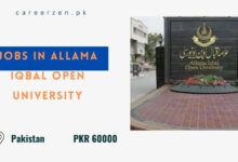 Jobs in Allama Iqbal Open University