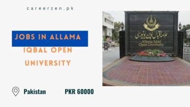 Jobs in Allama Iqbal Open University