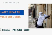 Lady Health Visitor Jobs