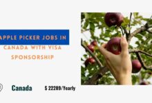 Apple Picker Jobs in Canada with Visa Sponsorship