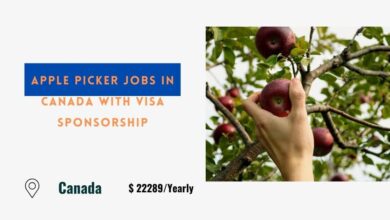 Apple Picker Jobs in Canada with Visa Sponsorship