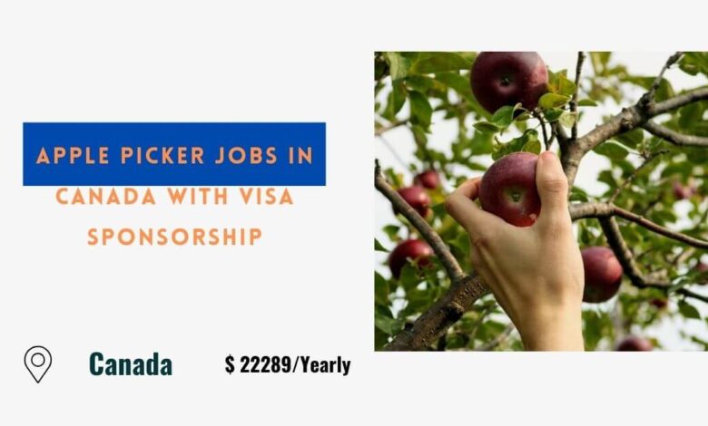 Apple Picker Jobs in Canada with Visa Sponsorship