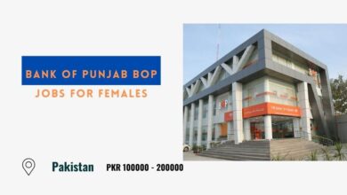 Bank of Punjab BOP Jobs for Females