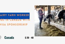 Dairy Farm Worker Jobs in Canada