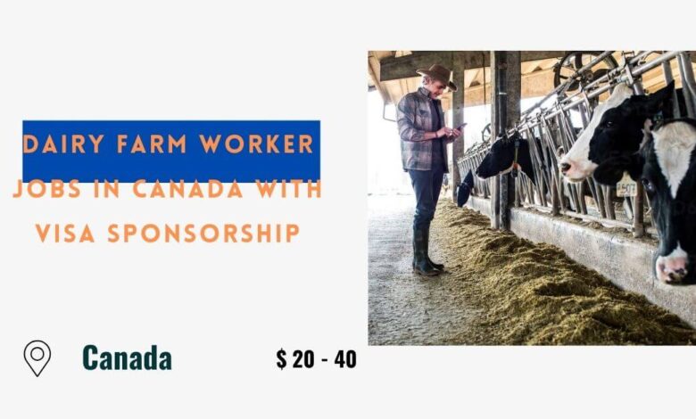 Dairy Farm Worker Jobs in Canada with Visa Sponsorship