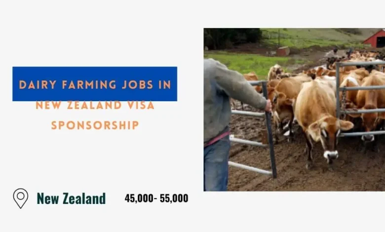 Dairy Farming Jobs in New Zealand