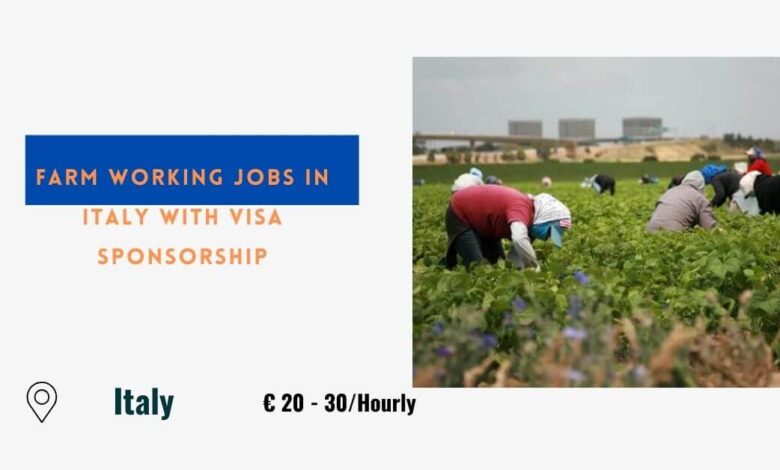 Farm Working Jobs in Italy with Visa Sponsorship