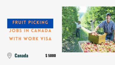 Fruit Picking Jobs in Canada with Work Visa