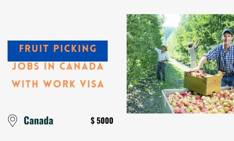 Fruit Picking Jobs in Canada with Work Visa