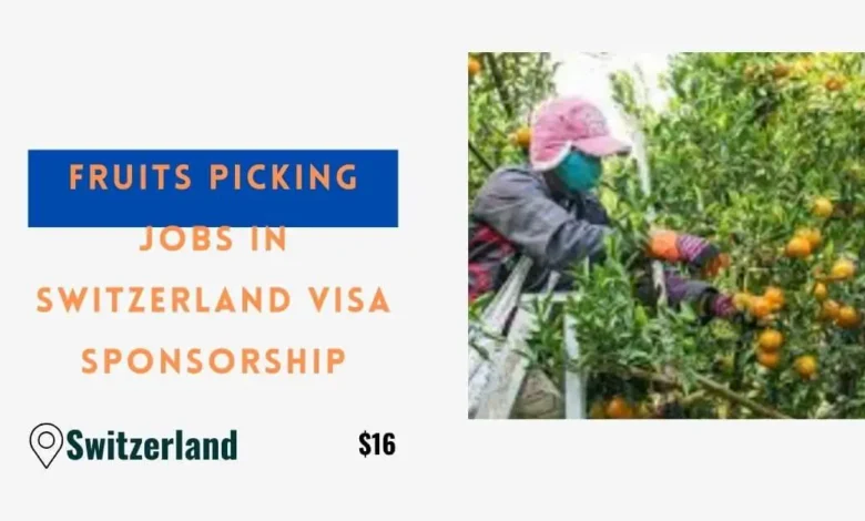 Fruits Picking Jobs in Switzerland