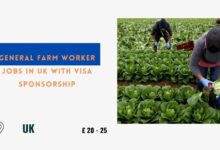 General Farm Worker Jobs in UK with Visa Sponsorship