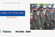 Jobs in Punjab Police
