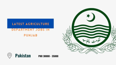 Latest Agriculture Department Jobs in Punjab