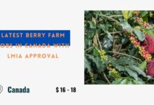 Latest Berry Farm Jobs in Canada with LMIA Approval