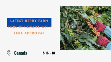 Latest Berry Farm Jobs in Canada with LMIA Approval