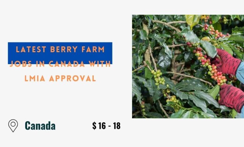 Latest Berry Farm Jobs in Canada with LMIA Approval