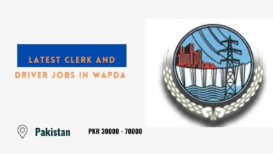 Latest Clerk and Driver Jobs in WAPDA