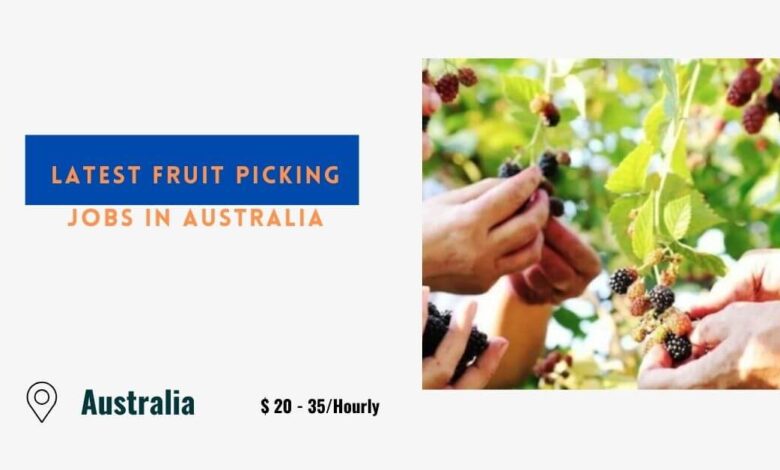 Latest Fruit Picking Jobs in Australia