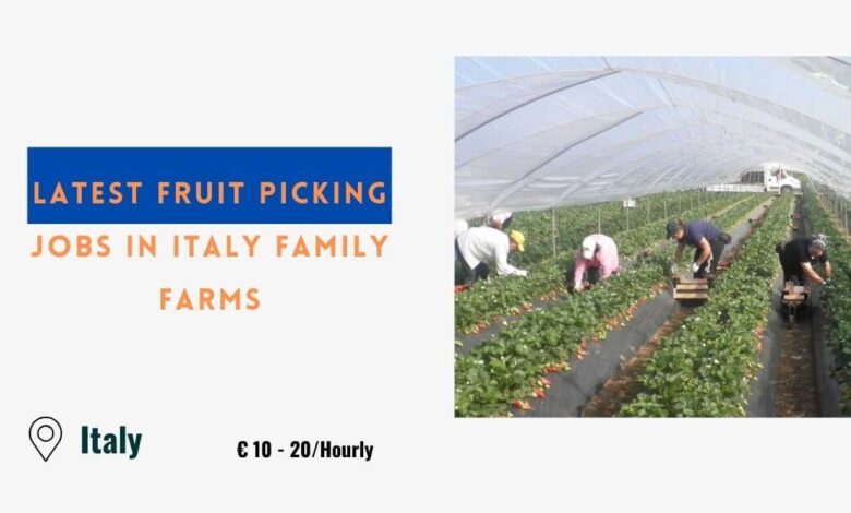 Latest Fruit Picking Jobs in Italy Family Farms