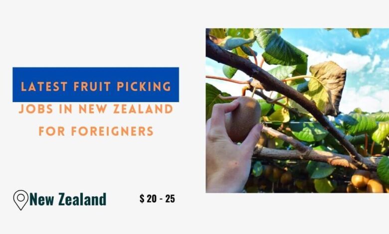 Latest Fruit Picking Jobs in New Zealand for Foreigners