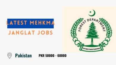 Latest Mehkma Janglat Jobs