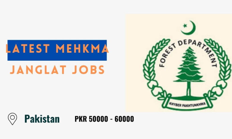 Latest Mehkma Janglat Jobs