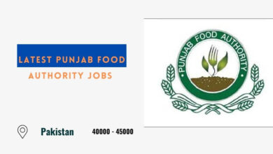 Latest Punjab Food Authority Jobs