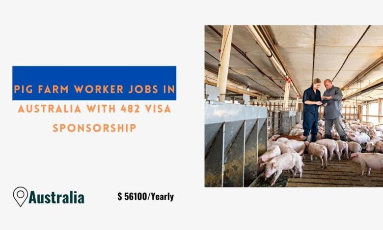 Pig Farm Worker Jobs in Australia with 482 Visa Sponsorship