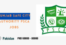 Punjab Safe City Authority PSCA Jobs