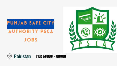 Punjab Safe City Authority PSCA Jobs