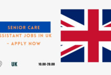 Senior Care Assistant Jobs in UK