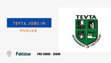 TEVTA Jobs in Punjab