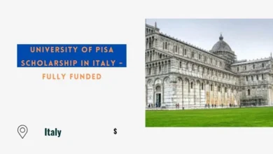 University of Pisa Scholarship