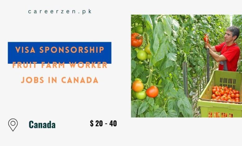 Visa Sponsorship Fruit Farm Worker Jobs in Canada