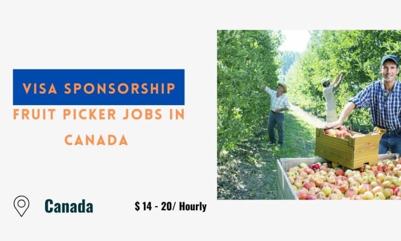 Visa Sponsorship Fruit Picker Jobs in Canada