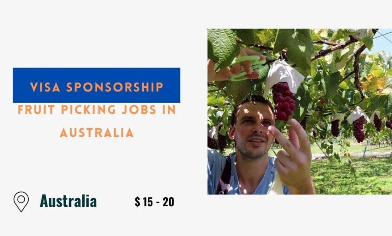 Visa Sponsorship Fruit Picking Jobs in Australia