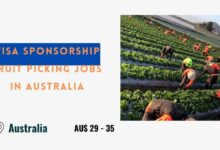 Visa Sponsorship Fruit Picking Jobs in Australia