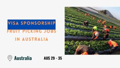 Visa Sponsorship Fruit Picking Jobs in Australia