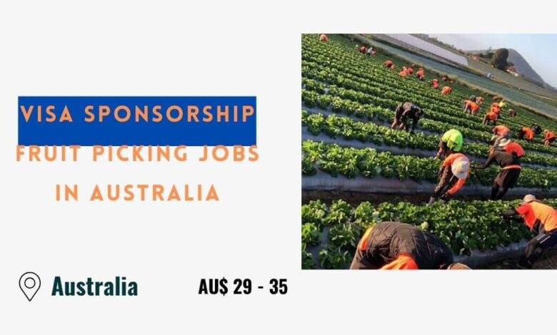 Visa Sponsorship Fruit Picking Jobs in Australia