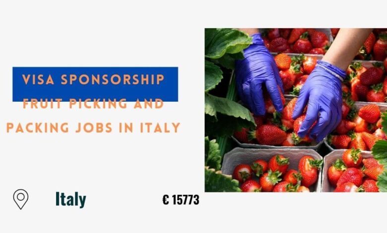 Visa Sponsorship Fruit Picking and Packing Jobs in Italy