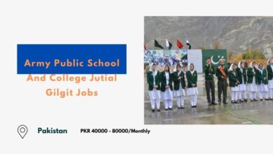 Army Public School And College Jutial Gilgit Jobs