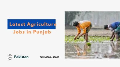 Latest Agriculture Jobs in Punjab