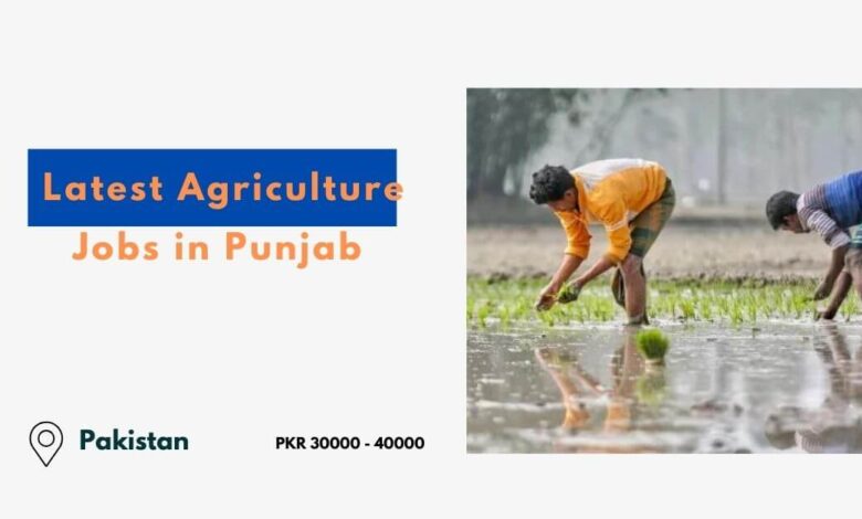 Latest Agriculture Jobs in Punjab