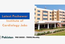 Latest Peshawar Institute of Cardiology Jobs