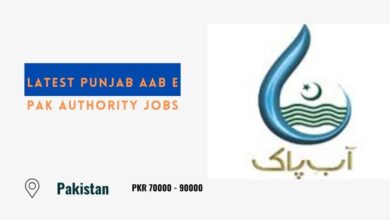 Latest Punjab Aab e Pak Authority Jobs