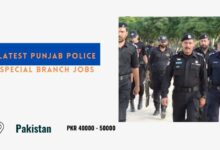 Latest Punjab Police Special Branch Jobs