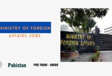 Ministry of Foreign Affairs Jobs