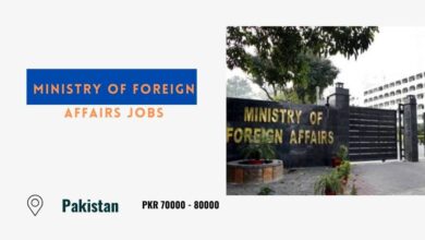 Ministry of Foreign Affairs Jobs