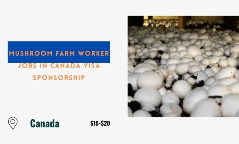 Mushroom Farm Worker Jobs in Canada