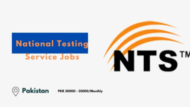 National Testing Service Jobs